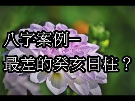 癸亥日女|【癸亥日女】癸亥日女命藏富貴：命運解析、財庫秘辛大公開